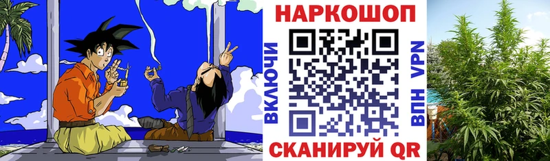 Где купить наркотики Чернушка Псилоцибиновые грибы  Канабис  Амфетамин  Гашиш  Мефедрон  Альфа ПВП  Cocaine 