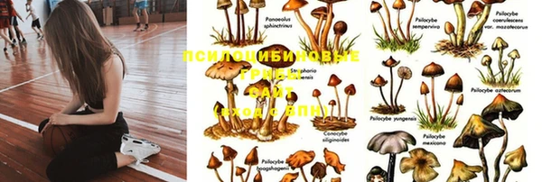 метадон Балахна