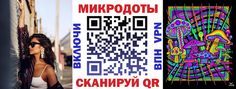 Псилоцибиновые грибы Psilocybe  Чернушка 